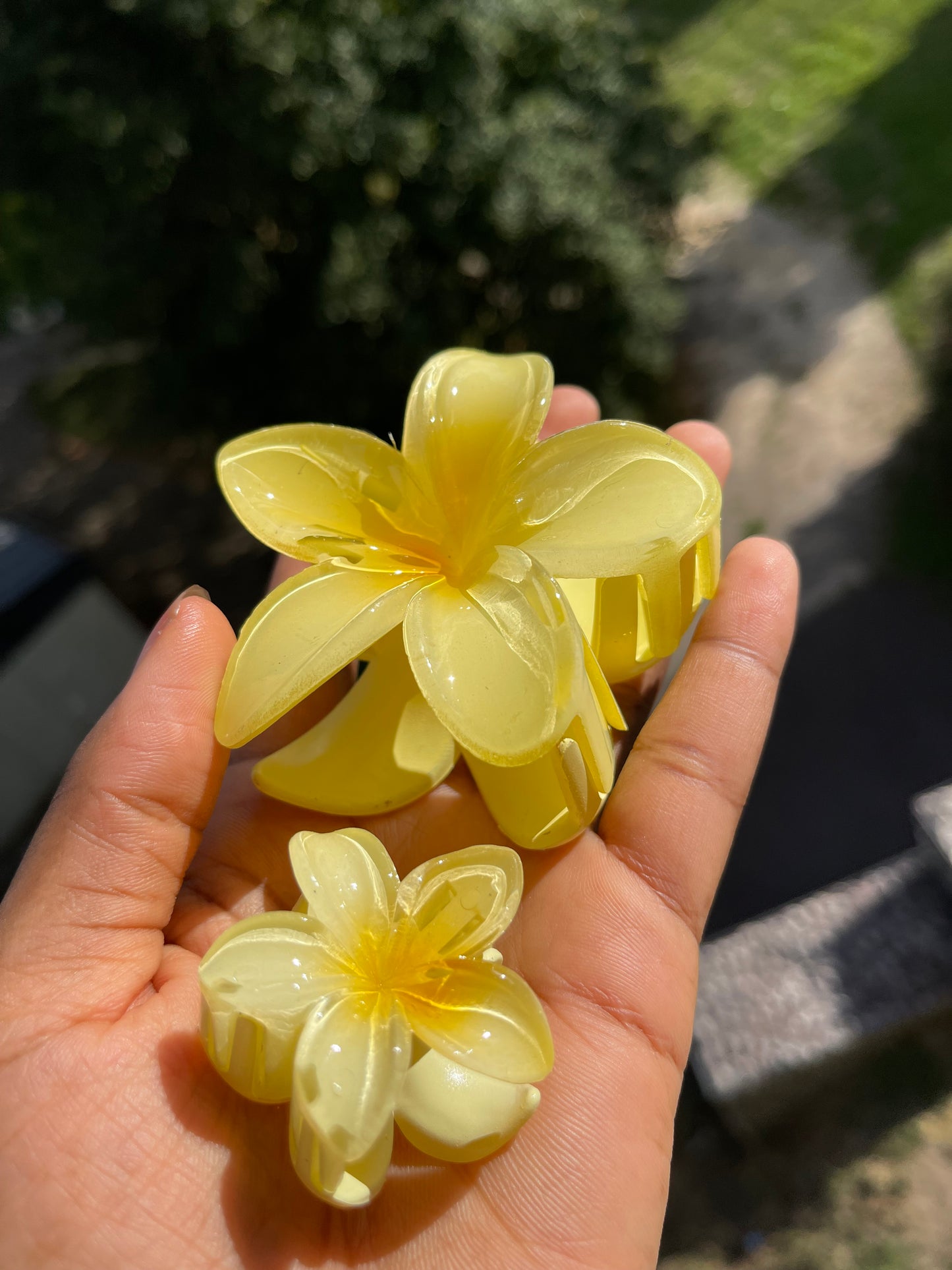🌼Pince à cheveux fleur tropicale ( 2 tailles )