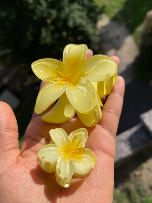 🌼Pince à cheveux fleur tropicale ( 2 tailles )