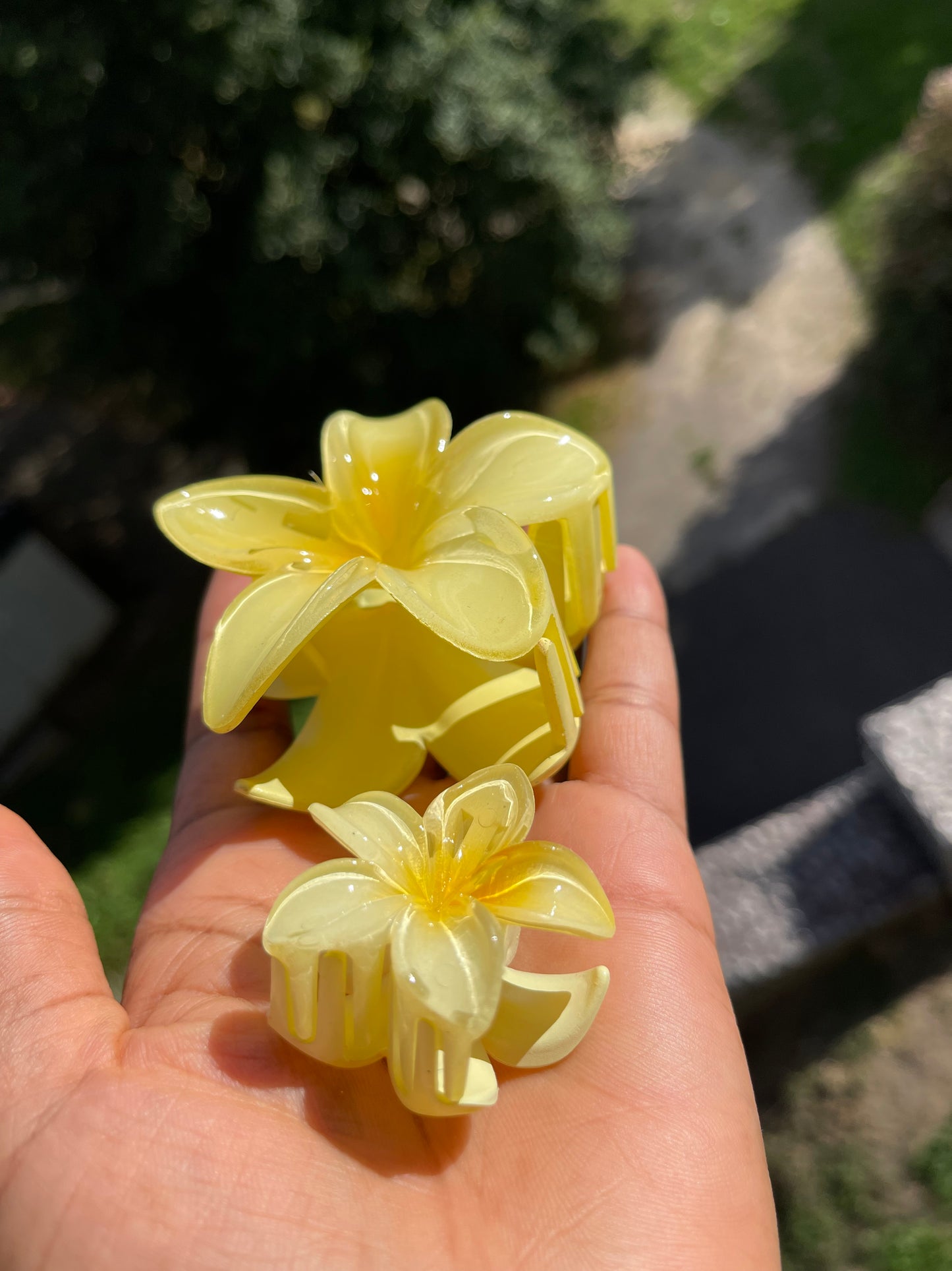 🌼Pince à cheveux fleur tropicale ( 2 tailles )