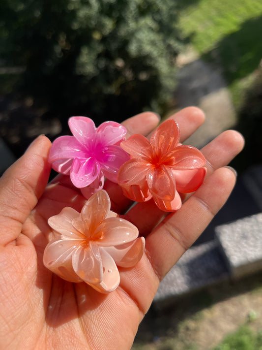 Lot de 3 mini pinces à cheveux
